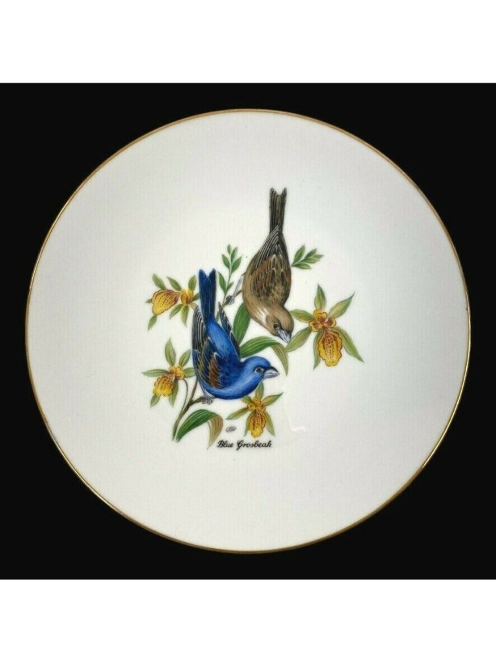 Bareuther Waldsassen Decorative Cabinet Plate Blue Grosbeak Bird Gold Trim 7 3/4